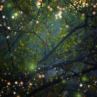 shutterstock 1079953136