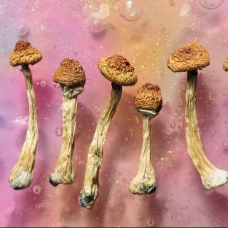 shutterstock 1922974532 1 e1659883368971