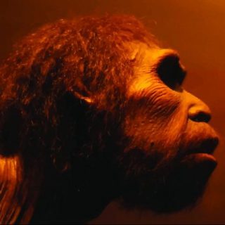 Shutterstock 230240842 e1670330646592