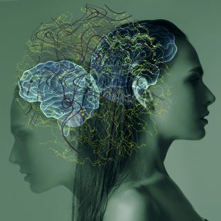 psilocybin mushrooms