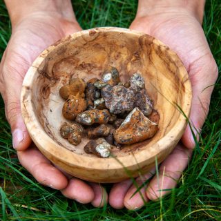 shutterstock 1279323847 1