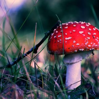 shutterstock 744992818